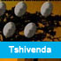 Voyance Gratuit Tshivenda